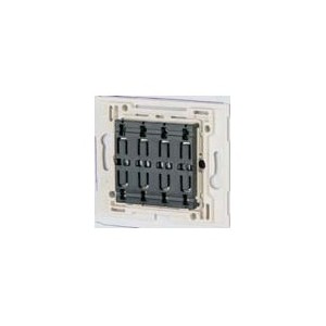 CTAA-02/04-LED Switch Module 2 Gang